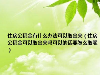 代取公积金靠谱吗？市场现状与风险分析，教你如何选择安全服务