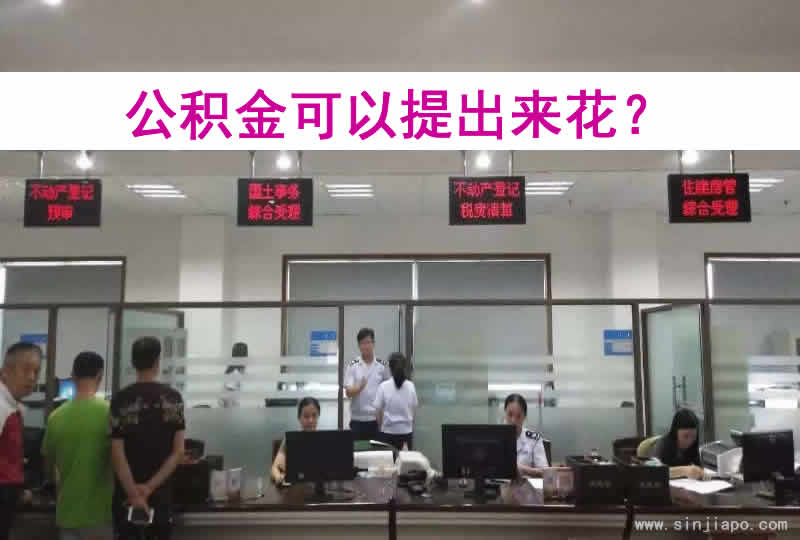 公积金可以提出来花？